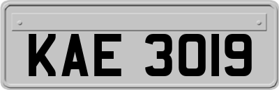KAE3019