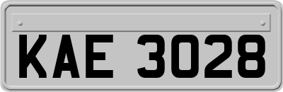 KAE3028