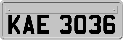 KAE3036