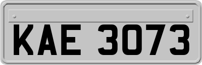 KAE3073