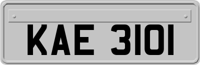 KAE3101