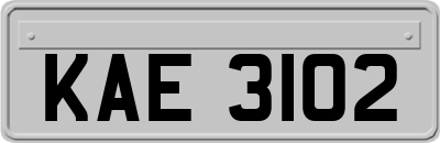 KAE3102