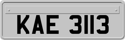 KAE3113
