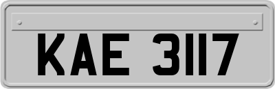 KAE3117