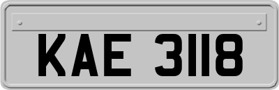 KAE3118