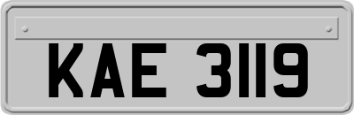 KAE3119