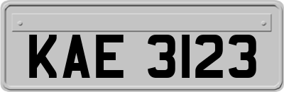 KAE3123