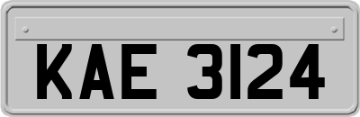 KAE3124
