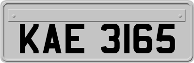 KAE3165