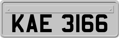KAE3166