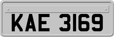 KAE3169