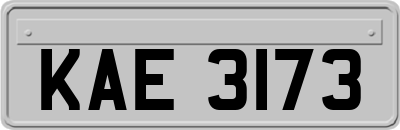 KAE3173