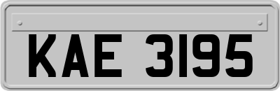 KAE3195