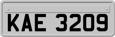KAE3209