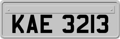 KAE3213