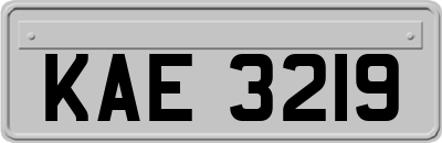KAE3219