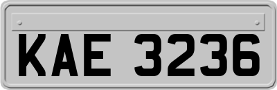 KAE3236