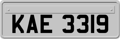 KAE3319