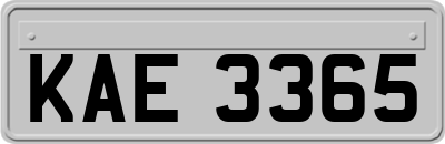 KAE3365