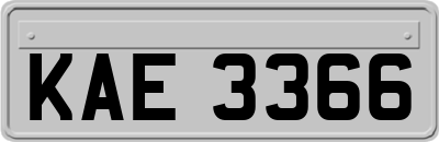 KAE3366