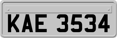 KAE3534