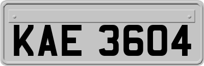 KAE3604