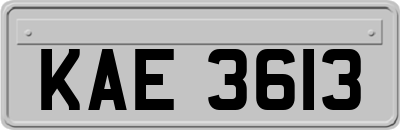 KAE3613