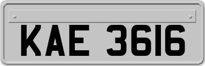 KAE3616