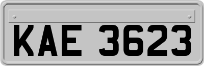 KAE3623