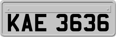 KAE3636