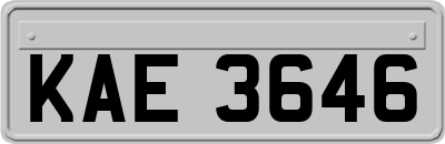KAE3646