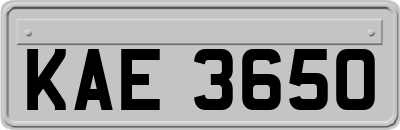 KAE3650