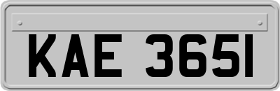 KAE3651
