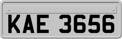 KAE3656