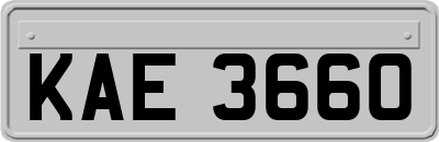 KAE3660