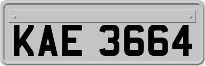 KAE3664
