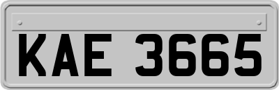 KAE3665