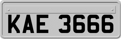 KAE3666