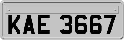 KAE3667