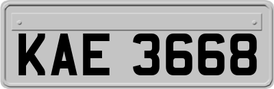 KAE3668