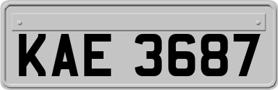 KAE3687