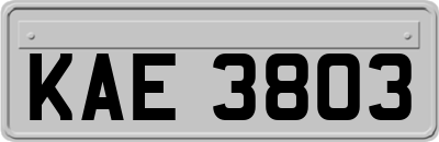 KAE3803