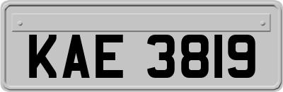 KAE3819