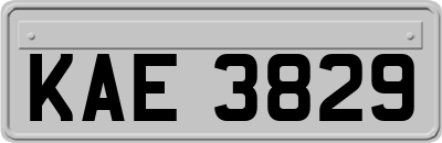 KAE3829