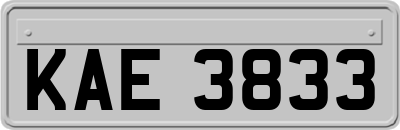KAE3833