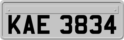 KAE3834
