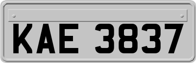 KAE3837
