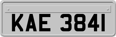 KAE3841