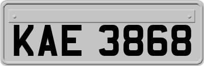 KAE3868