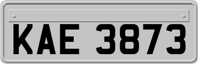 KAE3873